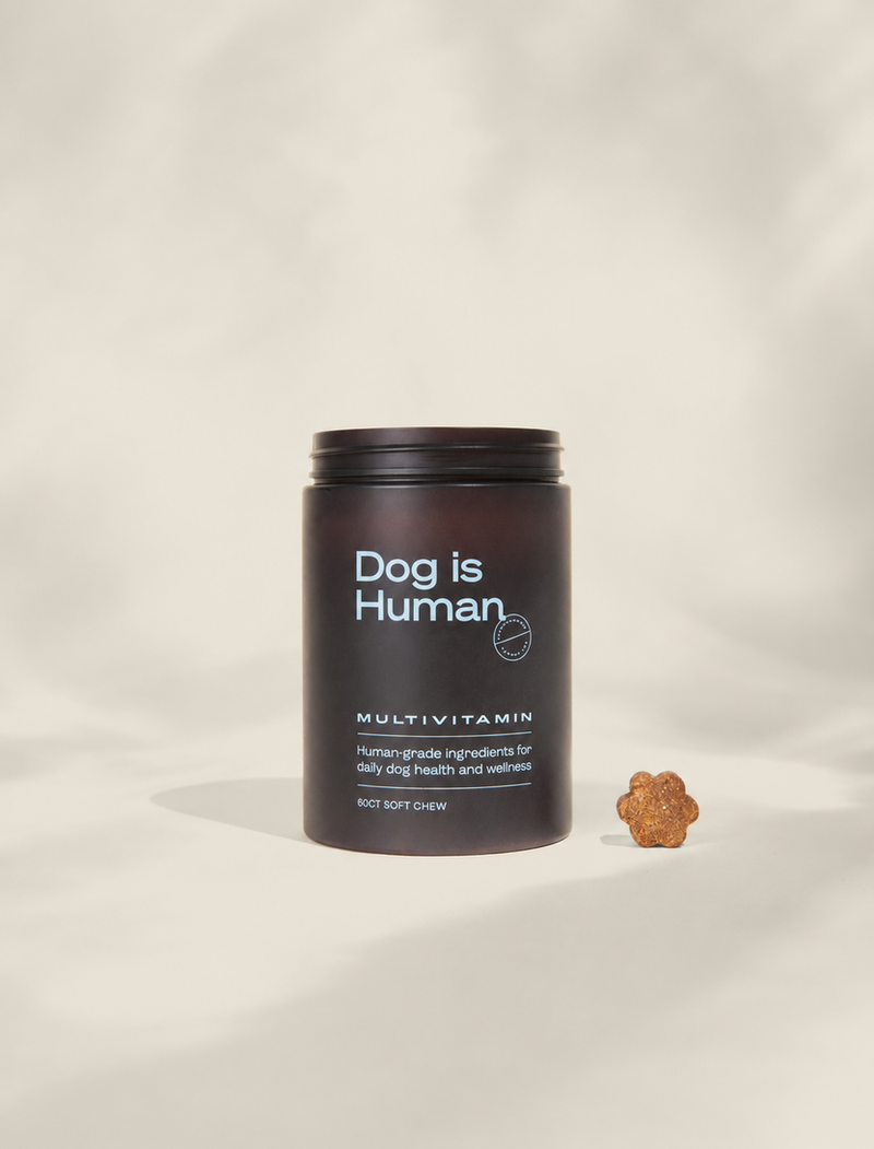 Dog is Human Multivitamin soft chews