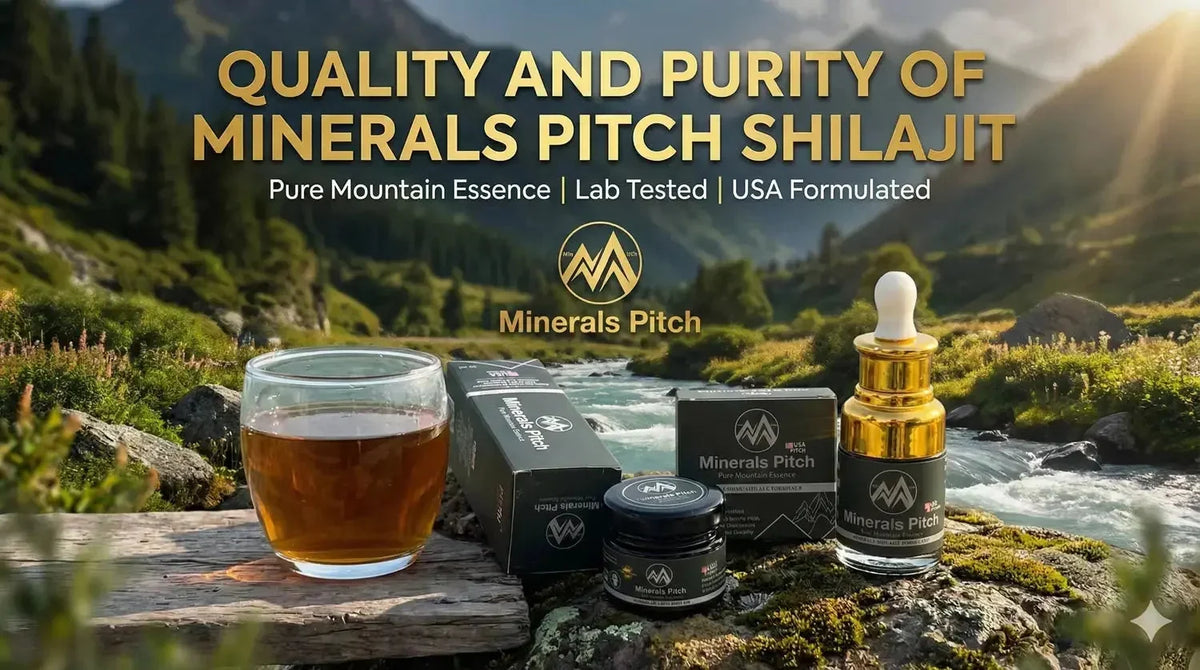 Minerals Pitch Pure Mountain Essence Shilajit Resin